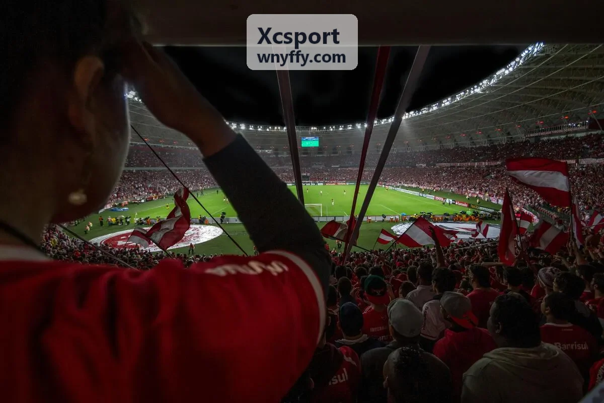 Xcsport 体能突破方案